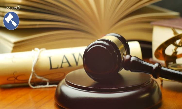 Năm 2019: Dự kiến thông qua 15 Luật