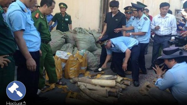 Nhiệm vụ, quyền hạn của Cán bộ điều tra