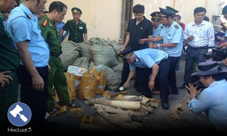 Nhiệm vụ, quyền hạn của Cán bộ điều tra