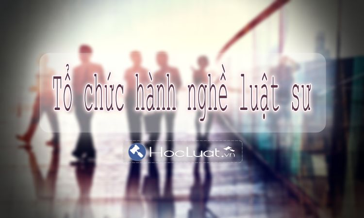 Một số kinh nghiệm của nước ngoài về hoạt động, tổ chức của luật sư mà Việt Nam có thể tham khảo