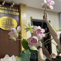 NGƯỜI THẨM PHÁN VÀ TÂM TỪ BI – tản mạn chào mừng ngày truyền thống Tòa án nhân dân